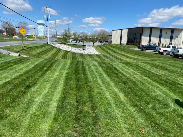 Goss Family Lawn Mowing