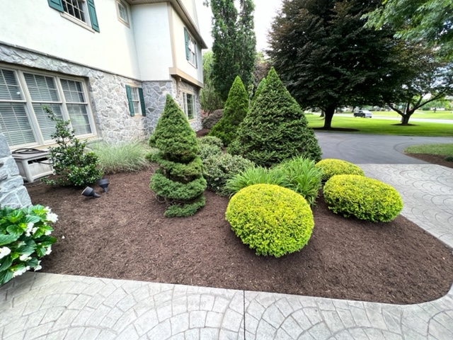 Goss Family Pruning