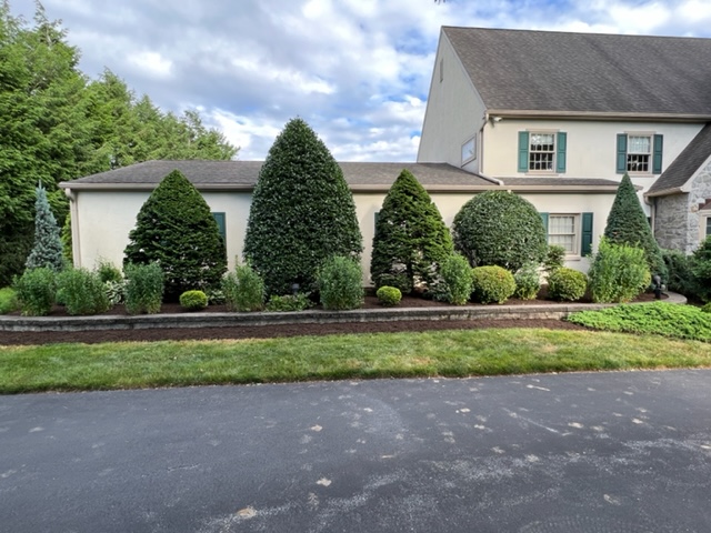 Goss Family Trimming